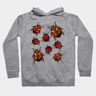 Red And Green Ladybug Beetle Hoodie